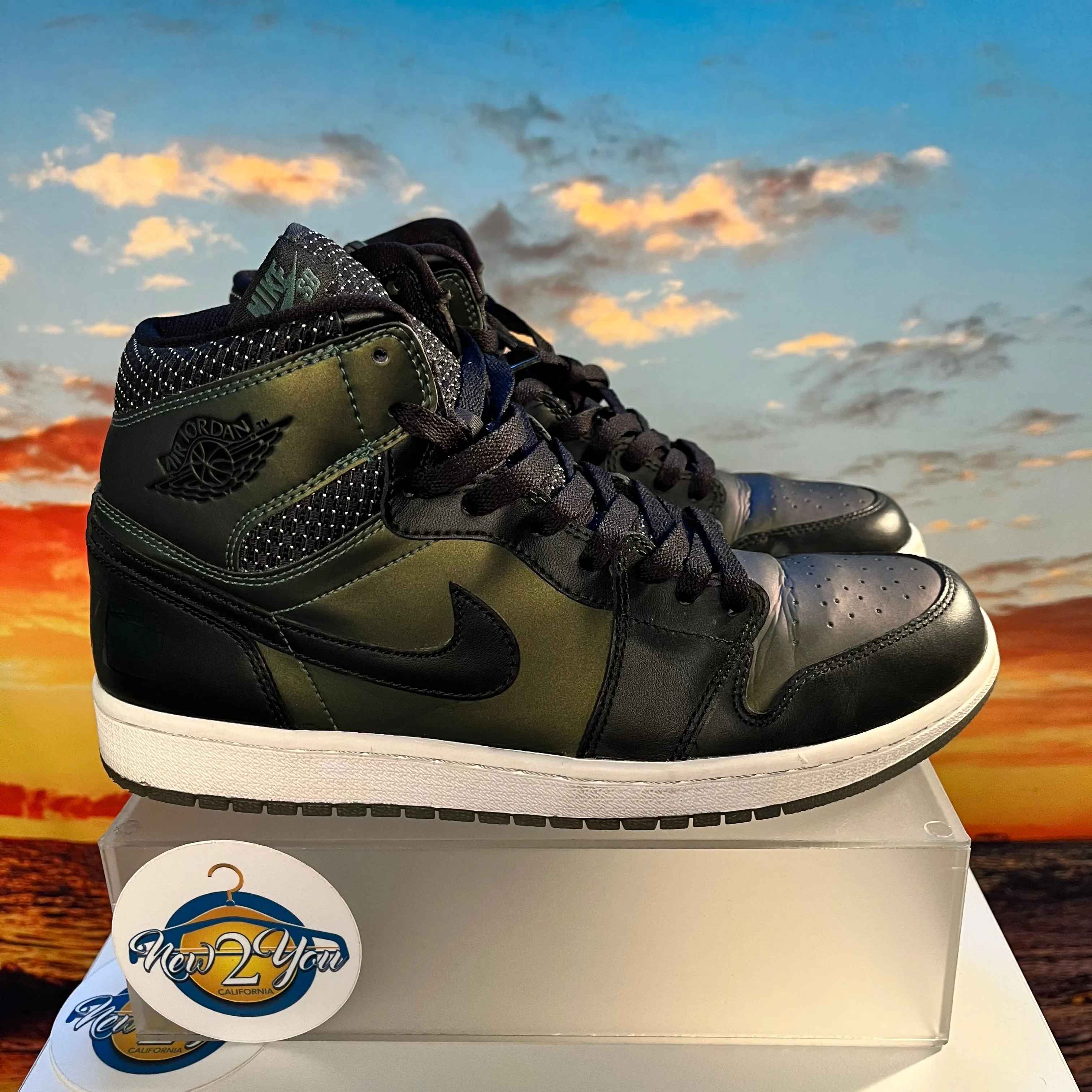 Air Jordan 1 x SB 'Craig Stecyk'