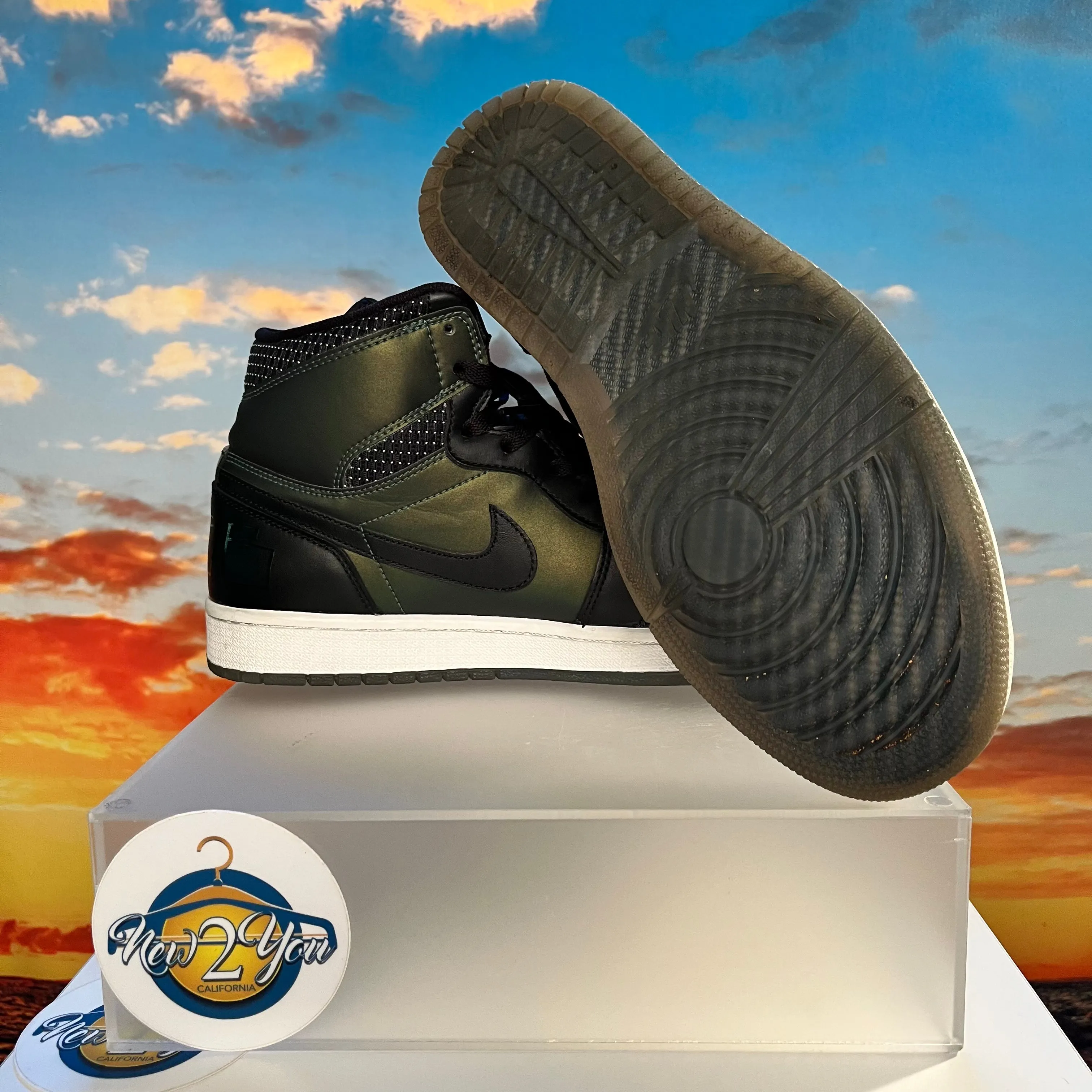 Air Jordan 1 x SB 'Craig Stecyk'