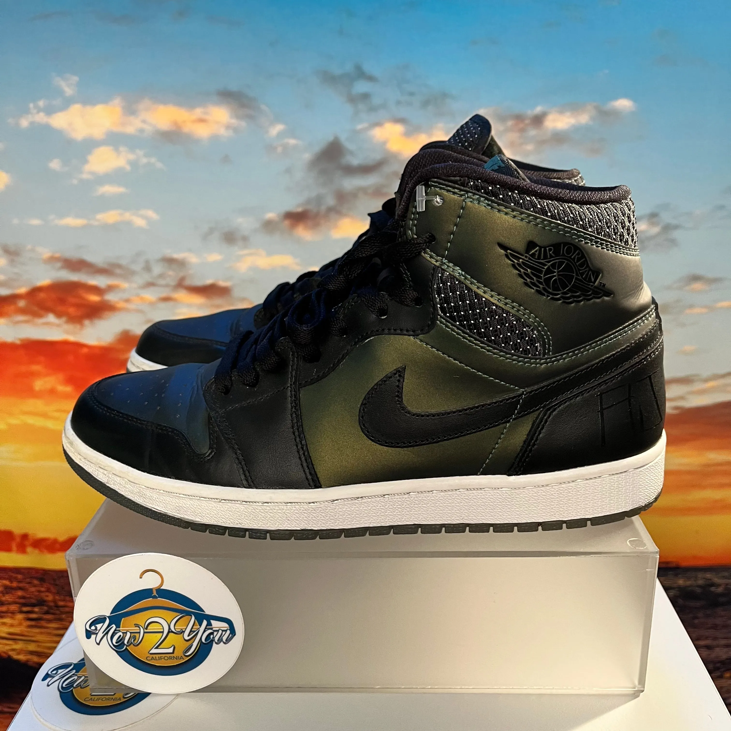 Air Jordan 1 x SB 'Craig Stecyk'