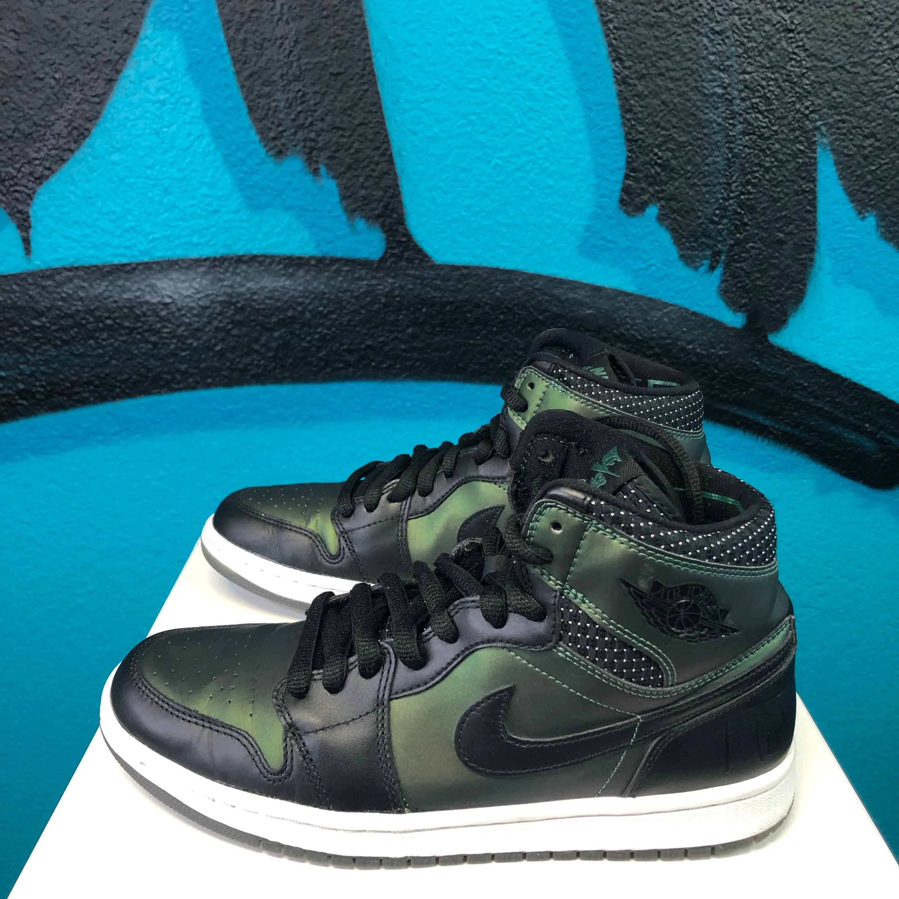 Air Jordan 1 x SB 'Craig Stecyk'