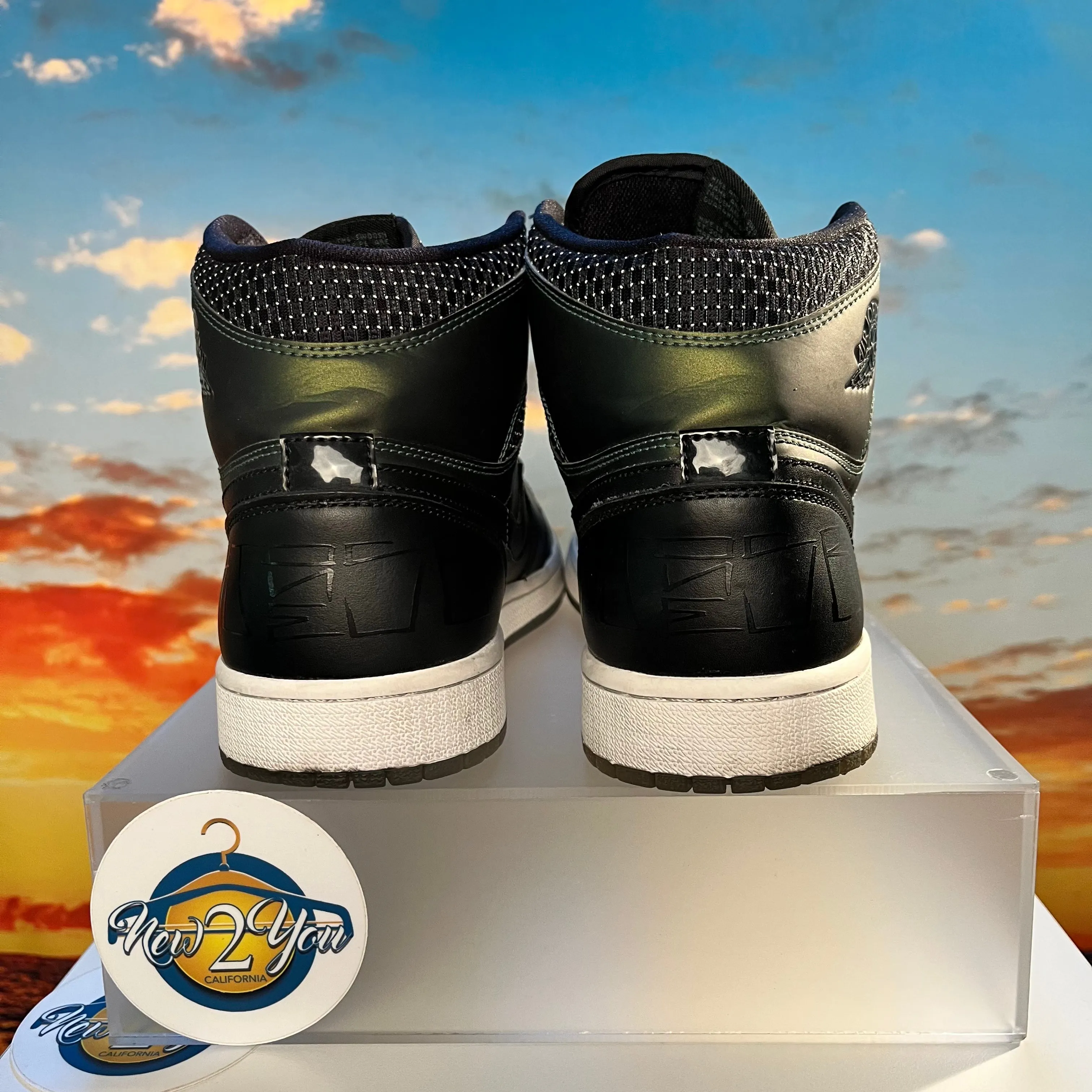 Air Jordan 1 x SB 'Craig Stecyk'