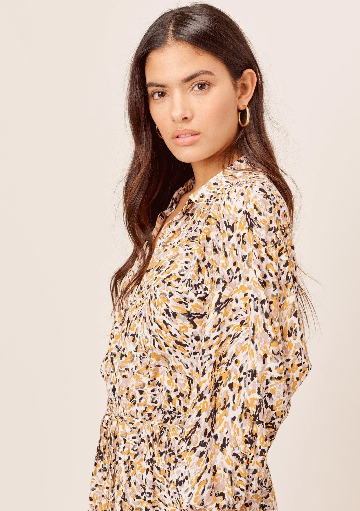 Ezra Animal Print Shirt Dress