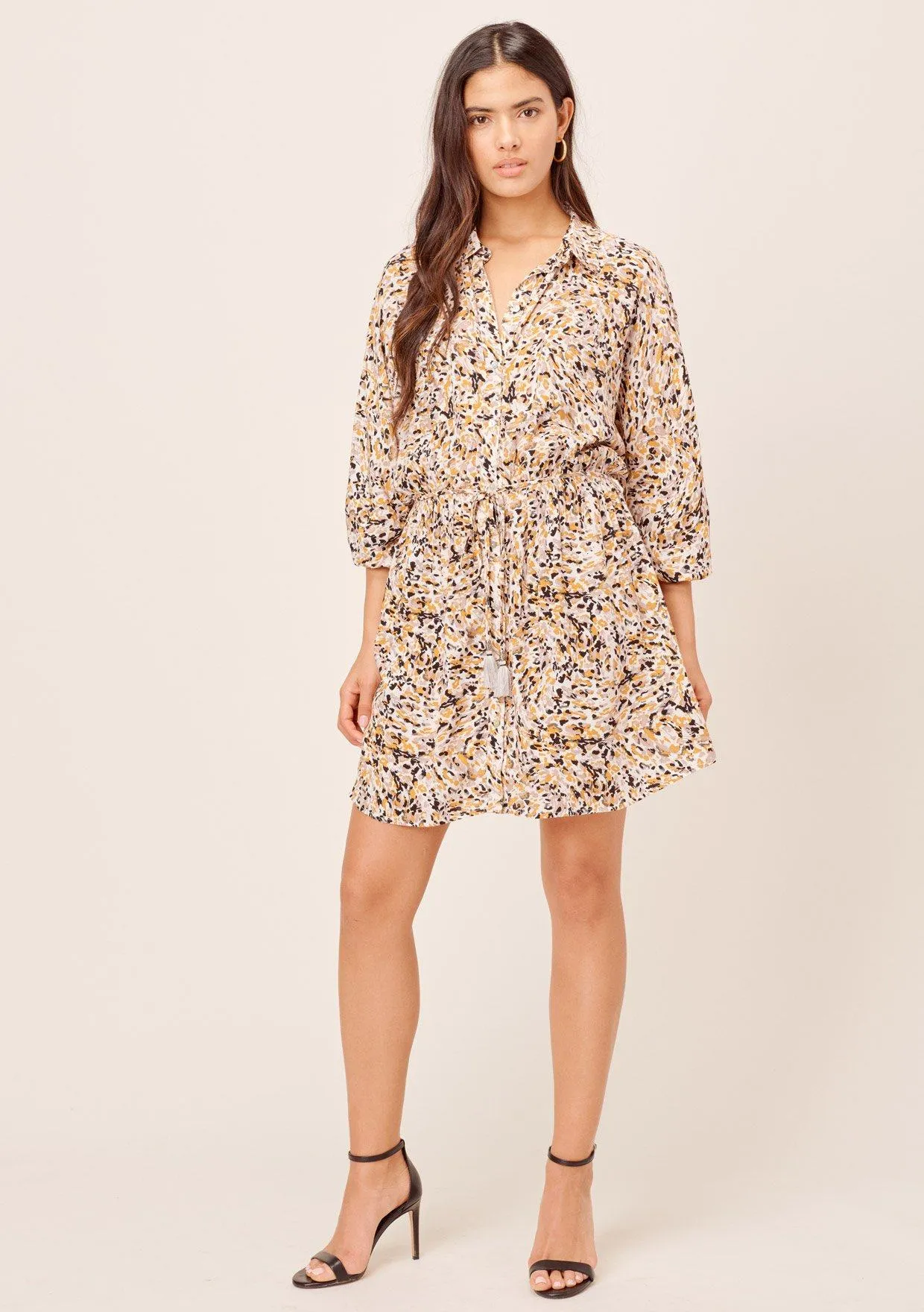 Ezra Animal Print Shirt Dress