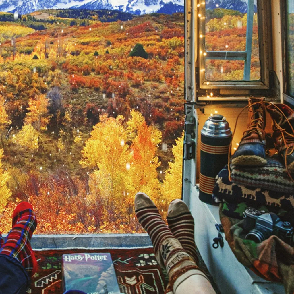 Griswold Vacation Socks by Kiel James Patrick