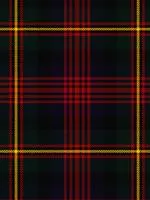 Logan Modern Tartan Neck Tie