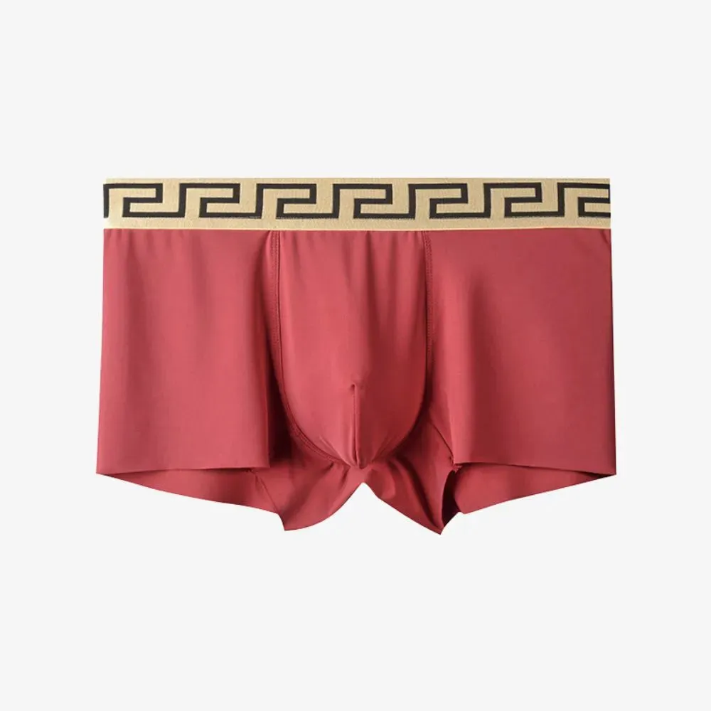 Men's Decorated Waistband Ultra Thin Ice Silk Trunks (4 Pack) - JEWYEE 3004