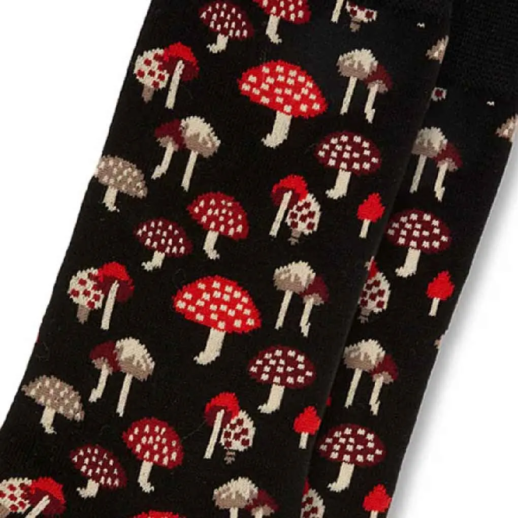 Mushroom for Him