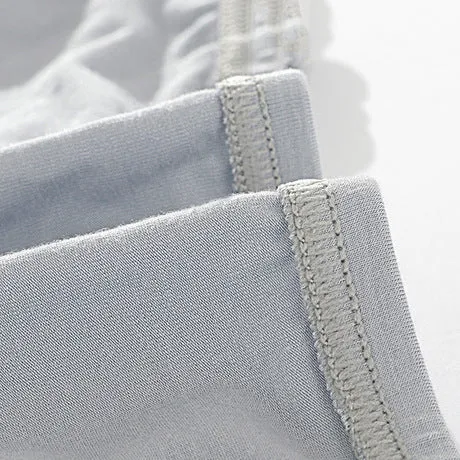 Premium Micro Modal Low Rise  Pounch Brief