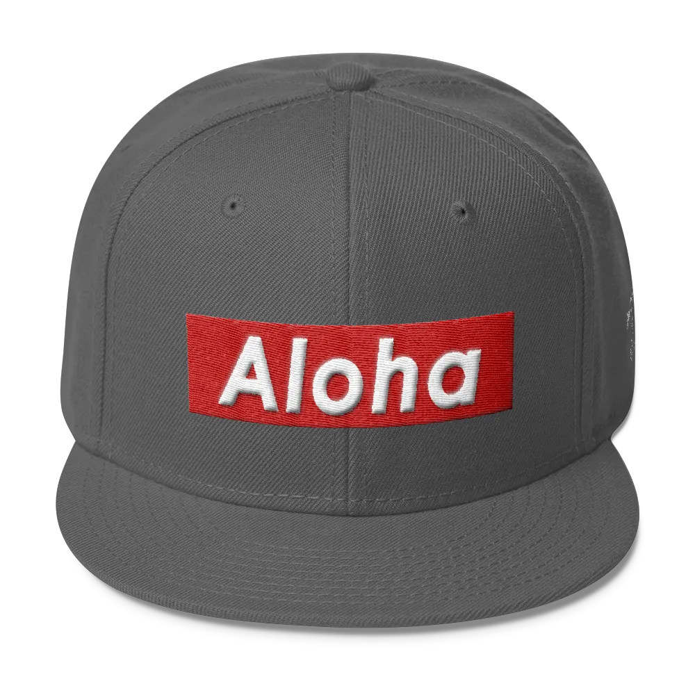 Rhythm Arts -AlohaBox- Snapback Hat-R