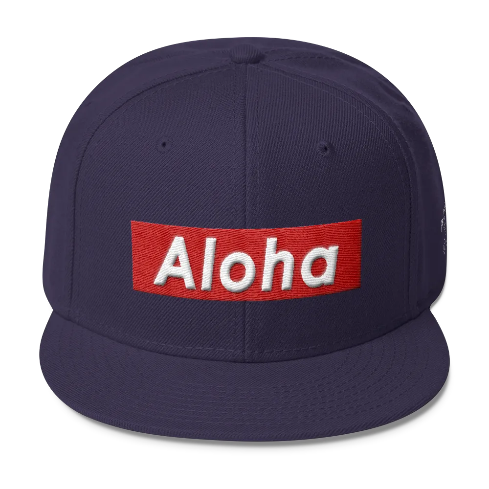 Rhythm Arts -AlohaBox- Snapback Hat-R