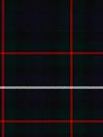 Robertson Hunting Modern Tartan Neck Tie