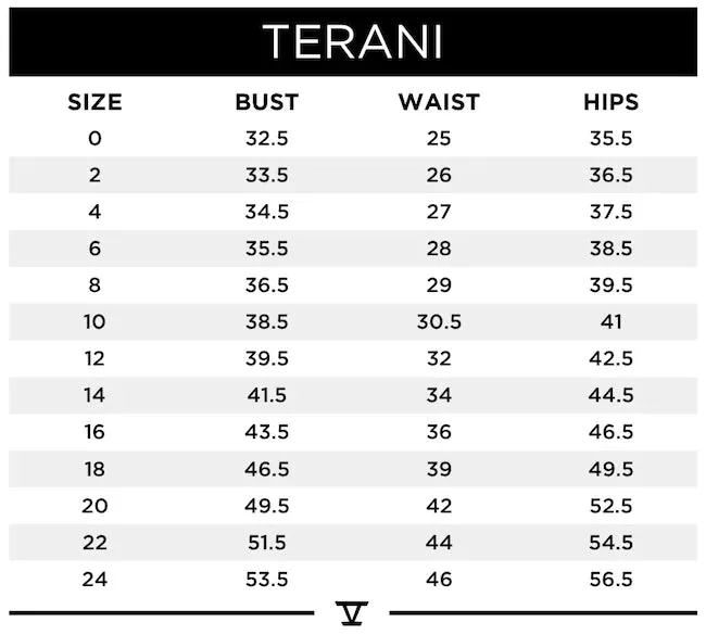 TERANI 242M3371 DRESS