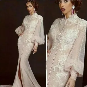 vintage evening dresses long sleeve lace applique dotted tulle champagne elegant evening gown